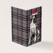 Vacances Grand Danois Rouge et gris Plat Noël (Outside)