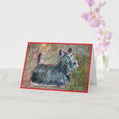 Vacances Métallisée Carte de voeux écossaise (Orchidée)