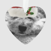 Vacances Plaid Nom de l'animal de compagnie Noël P (dos)