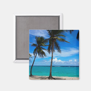 Vacature voor de familie Trip Beach Guadeloupe Magneet