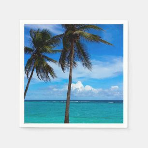 Vacature voor de familie Trip Beach Guadeloupe Servet