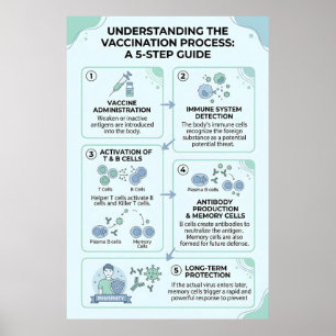 Vaccinatieproces uitgelegd: een 5-staps immuniteit poster