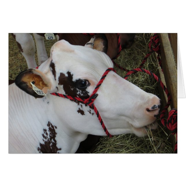 Vache (Devant horizontal)