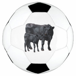 Vache Angus Noire et veau mignon
