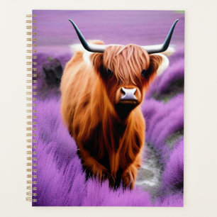 Vache belle Highland dans le champ Lavender