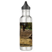 Vache C'Est Une Vie Agricole, Bouteille D'Eau (Gauche)