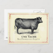 Vache Cow Briefkaart (Voorkant / Achterkant)