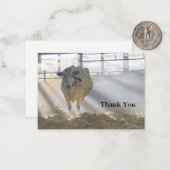 Vache dans le Carte de remerciements brouillard (Devant/Arrière en situation)