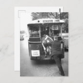 Vache dans le tramway briefkaart (Voorkant / Achterkant)