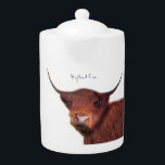 Vache de haute mer<br><div class="desc">Belle vache des Highlands</div>