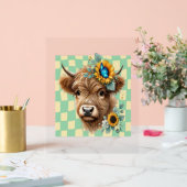 Vache de tournesol, Vache de joli Highland (Mariage)