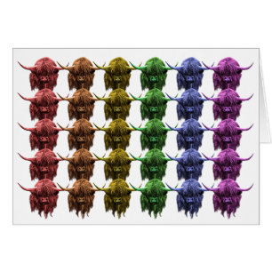 Vache des montagnes écossaise