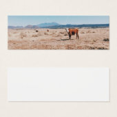 Vache du désert (Devant & derrière)