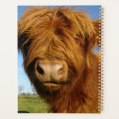 Vache écossaise à boulettes - Ciel bleu (Dos)