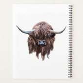 Vache écossaise des Highlands en couleur (Dos)