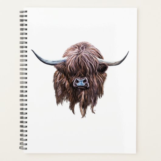 Vache écossaise des Highlands en couleur (Devant)