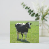 Vache frisonne en vert pré carte postale (Debout devant)