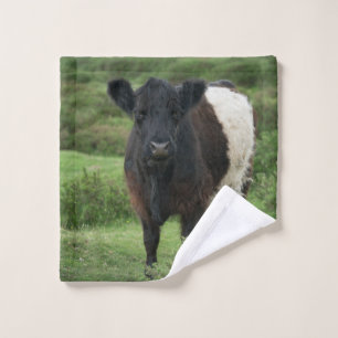 Vache galloway à ceinture