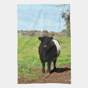 Vache Galloway Femme Dans Le Pays, Serviette De Pl