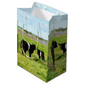 Vache Galloway, Sac Cadeau (Devant Angle)
