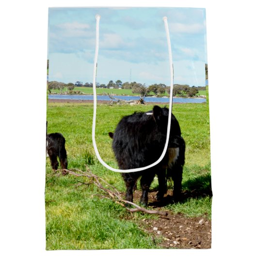 Vache Galloway, Sac Cadeau (Dos)