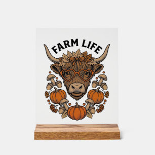 Vache Highland d'automne avec lunettes en forme de