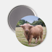 Vache Highland Magnet (Recto/Verso)