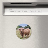 Vache Highland Magnet (In Situ (Lave-vaisselle))