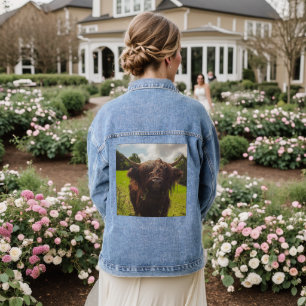 Vache highland noire broutant un champ vert au sol