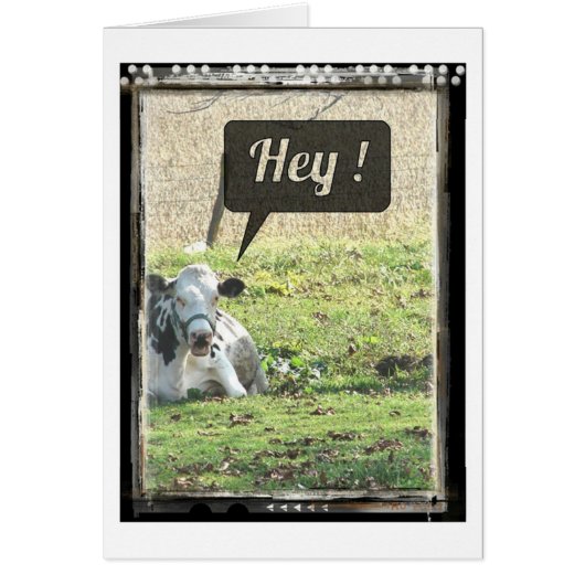 Vache Laitière Hé ! (Devant)