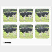 Vache laitière mûre à l'extérieur des Stickers de (Feuille)