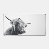 Vache majestueuse des Highlands noir et blanc (Recto)