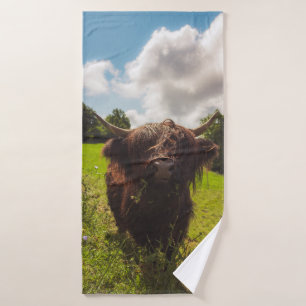 Vache noire pâturage vert champ soleil