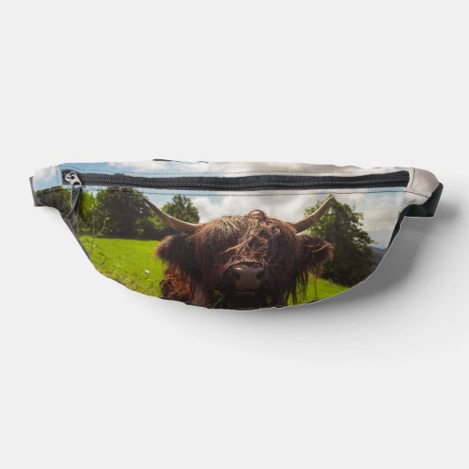 Vache noire pâturage vert champ soleil (Poser)
