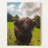 Vache noire pâturage vert champ soleil (Dos)