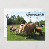 Vache - Nouvelle carte postale d'adresse - Nous av (Devant / Derrière)