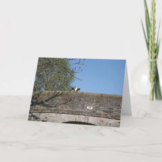 Vache regardant au-dessus du carte pour notes de (Devant)