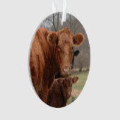 vache rouge avec son veau (devant)