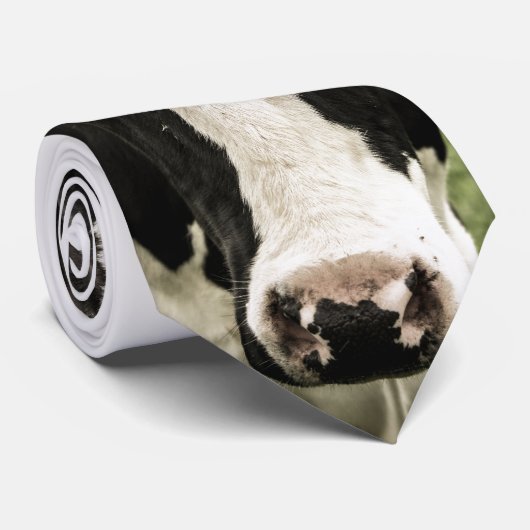 Vache sur une cravate (Roulé)