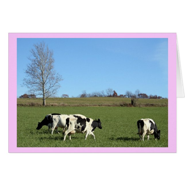 Vaches (Devant horizontal)