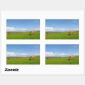 Vaches dans une prairie en Irlande autocollant rec (Feuille)