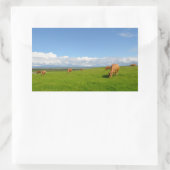 Vaches dans une prairie en Irlande autocollant rec (Sac)