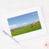 Vaches dans une prairie en Irlande autocollant rec (Enveloppe)