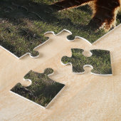Vaches des Highlands dans le Montana Puzzle (Côté)