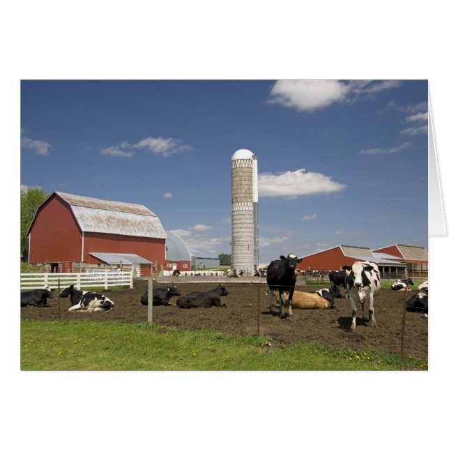Vaches devant une grange rouge et un silo dans une (Devant horizontal)