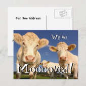 Vaches drôles Nous avons déménagé Nouvelle carte p (Devant / Derrière)