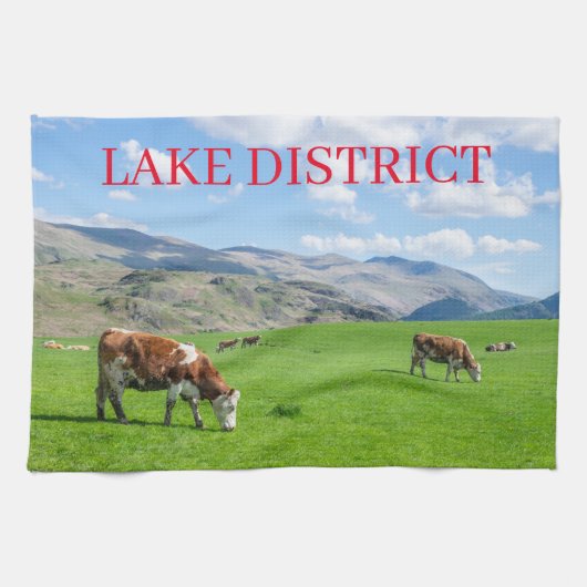 Vaches du district du lac broutant la serviette de (Horizontal)