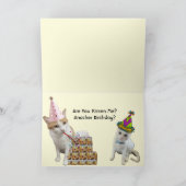 Vaches et chats Carte d'anniversaire (Intérieur)