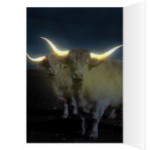Vaches Highland Avec Luminosité, Carte Anniversair (Intérieur (Gauche))