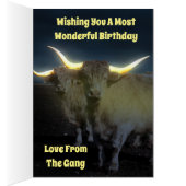 Vaches Highland Avec Luminosité, Carte Anniversair (Intérieur (Droit))